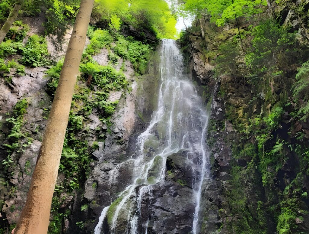 Der 32 Meter hohe Burgbachwasserfall im Wolftal