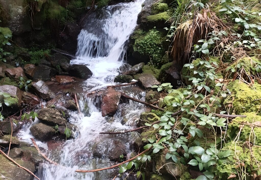 Kaskade in der Wolfschlucht am Burgbachwasserfall