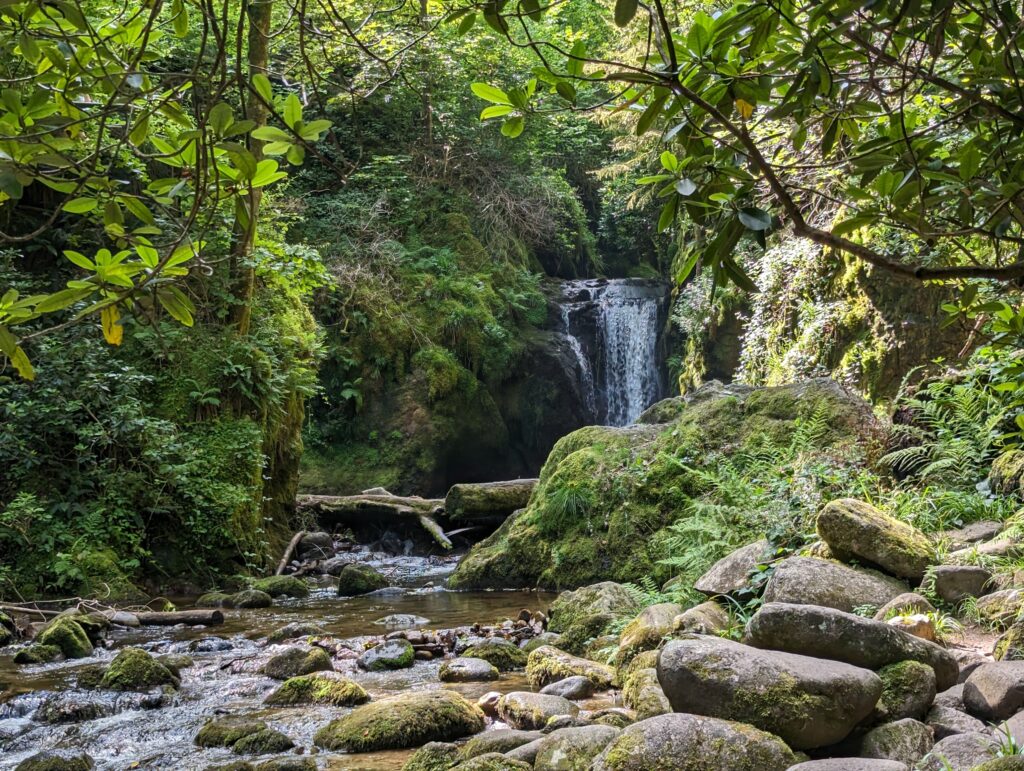 Der Geroldsauer Wasserfall, gerahmt von Rhododendren und moosbedeckten Felsen
