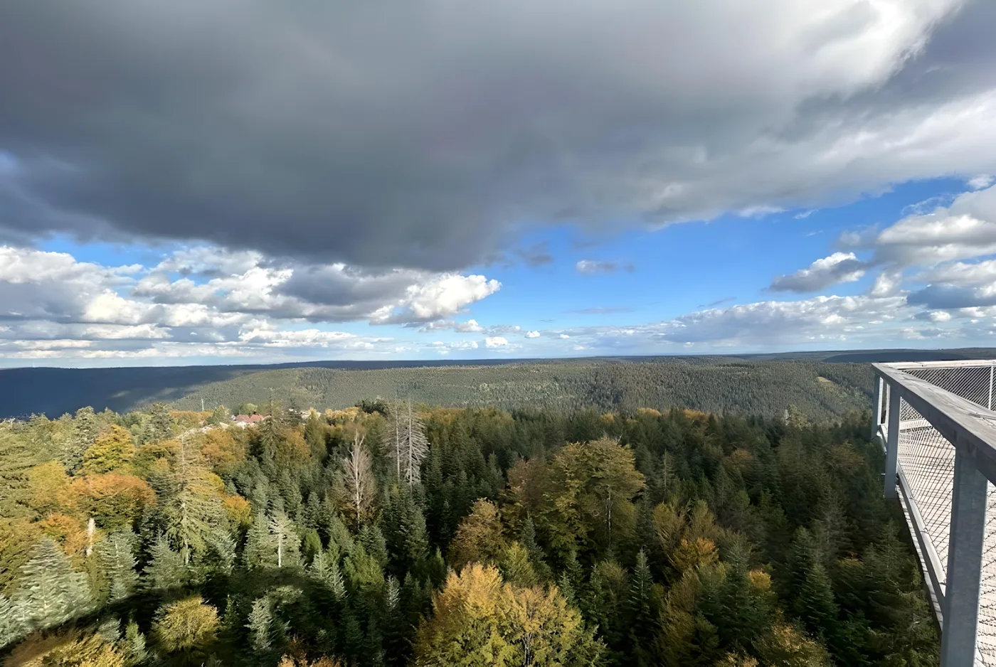 Weiter Blick über die Wälder vom Wipfelpfad