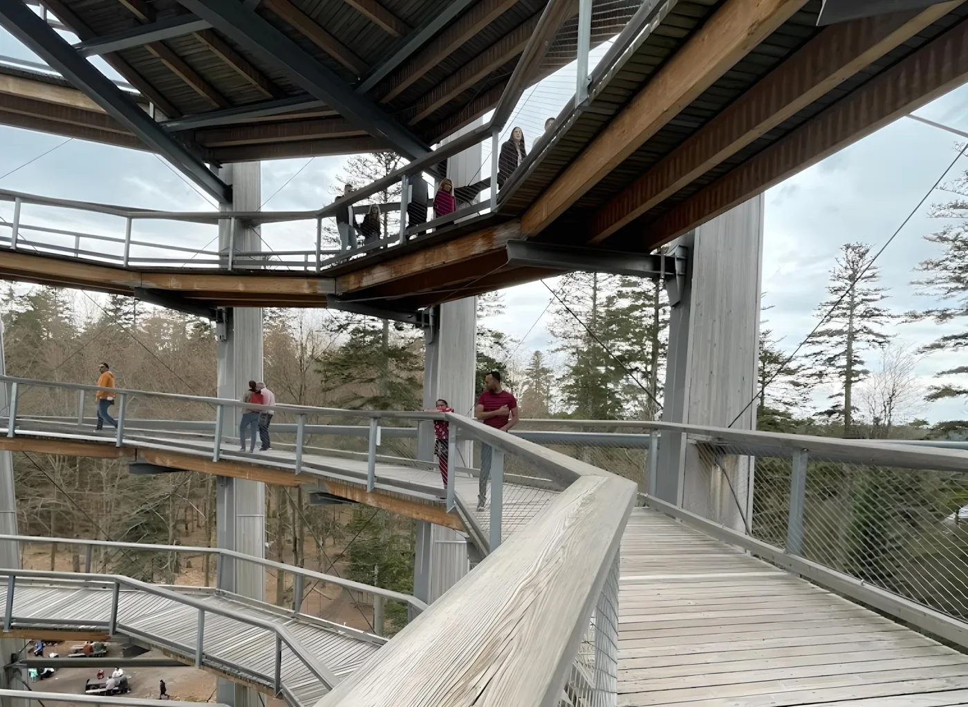 Auf der barrierefreien Rampe des Baumwipfelpfads