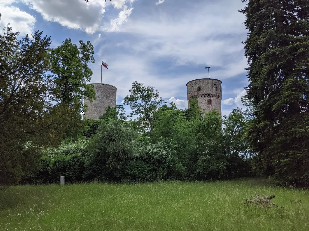 Die Türme der Ruine ragen über die Wiese
