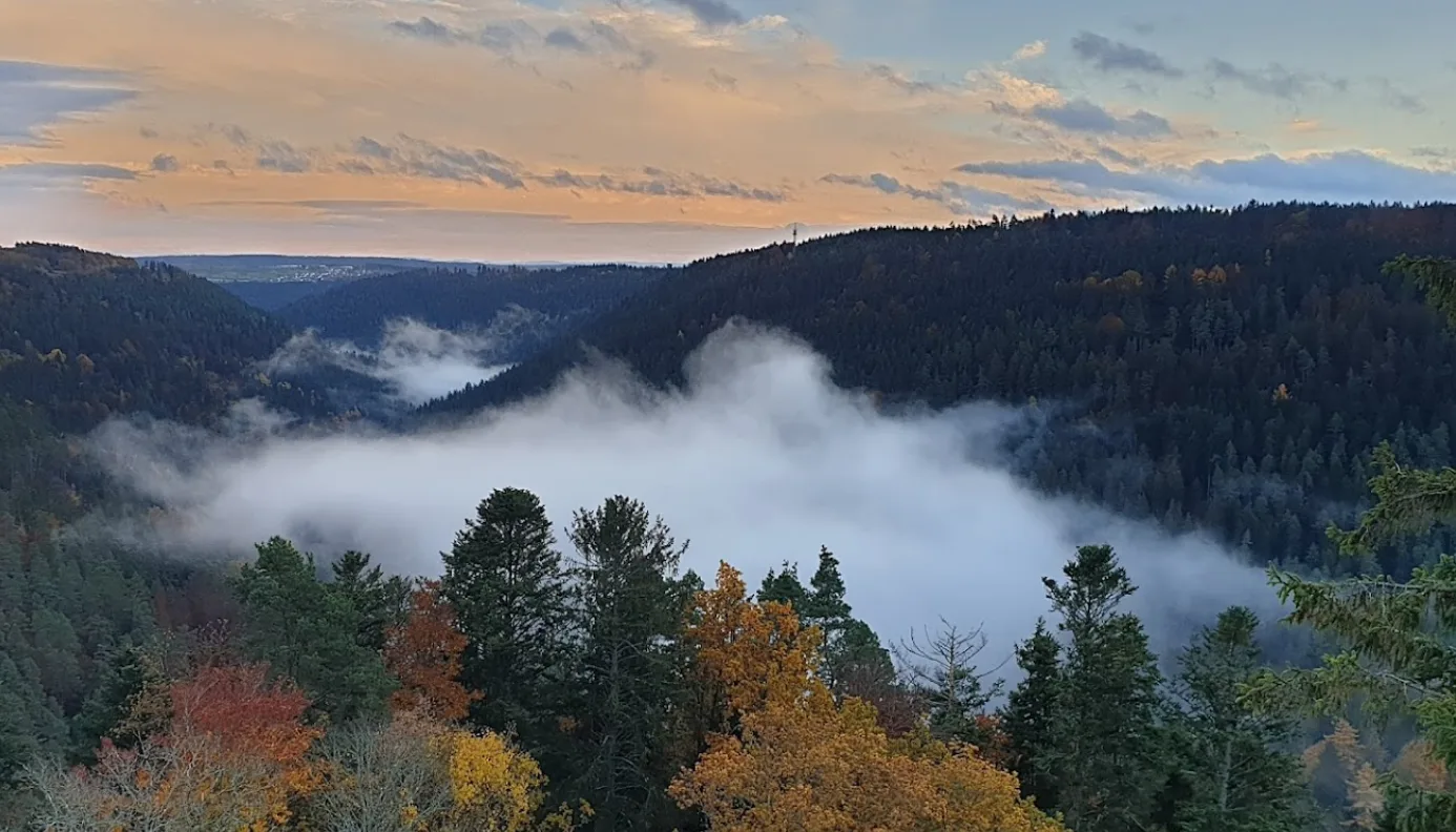 Morgenstimmung über dem nebelverhangenen Tal bei Zavelstein