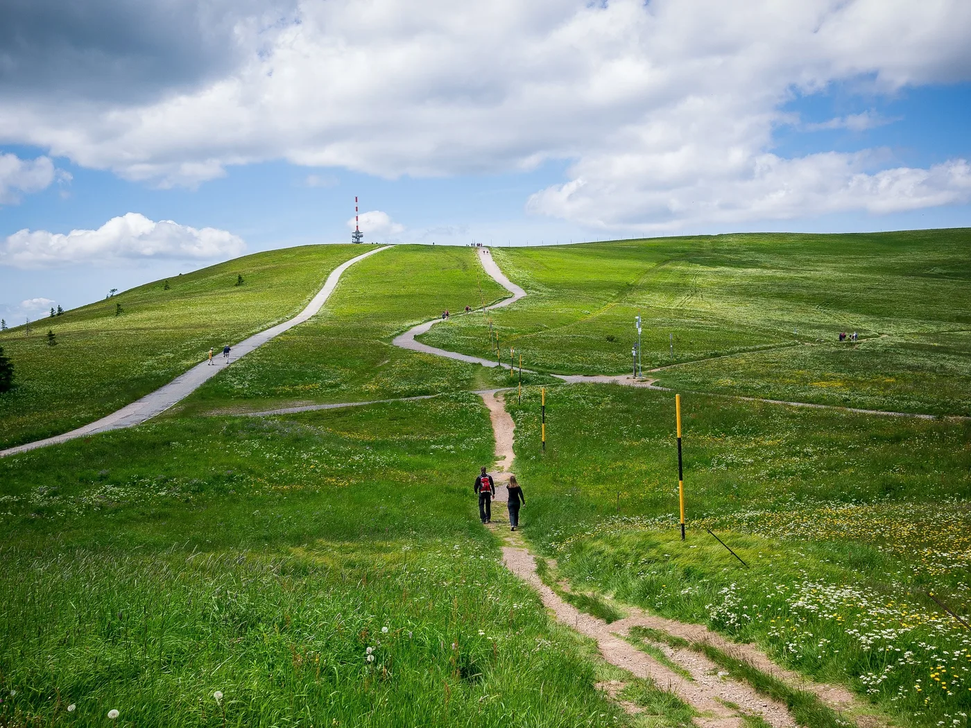 Ein Wanderweg führt über die weite Gipfelwiese