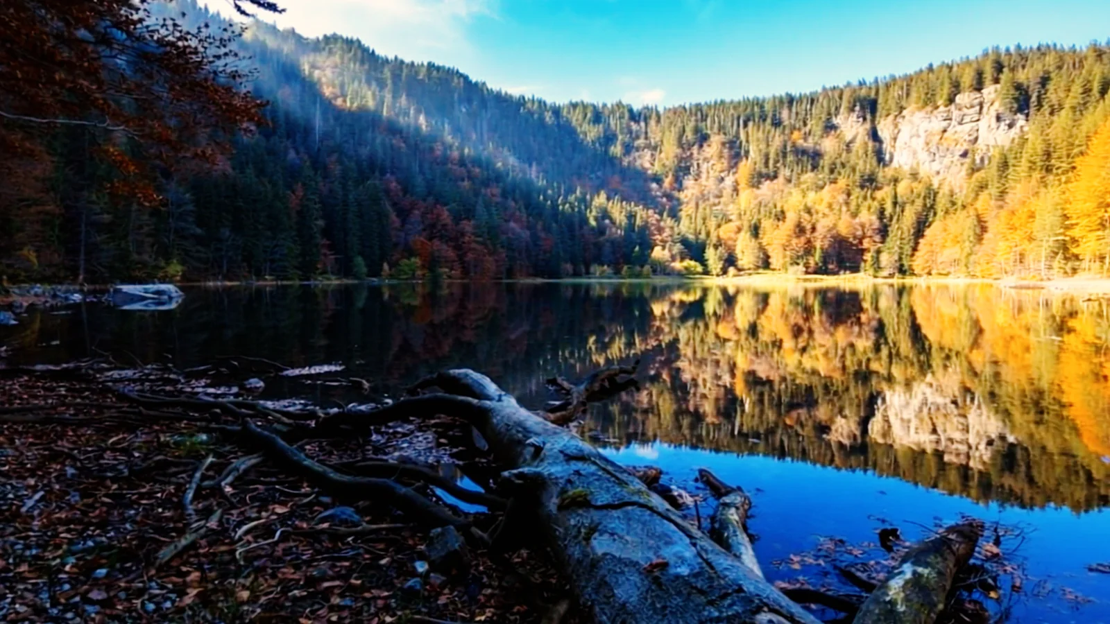 Am Ufer des Feldsees mit Herbstspiegelung