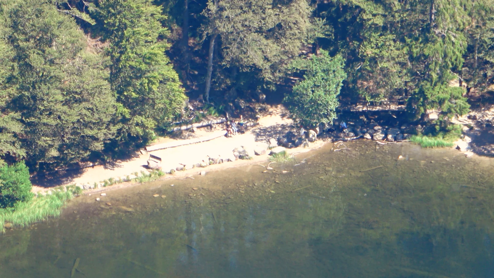 Sommer am Feldsee – kleine Uferbucht mit klarem Wasser