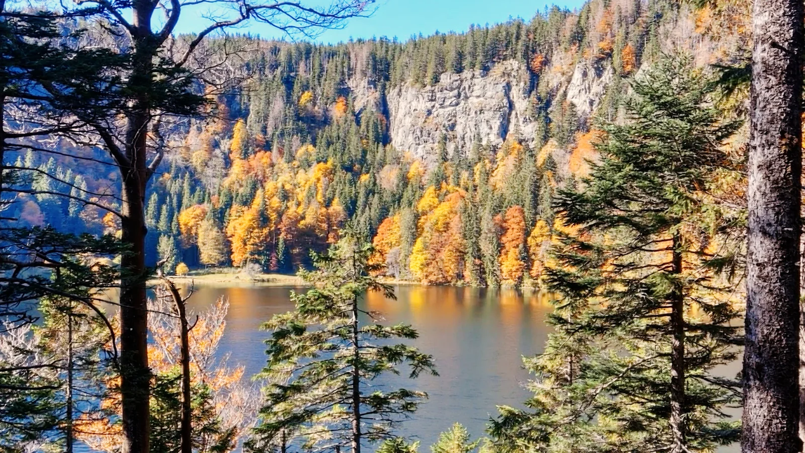 Blick durch die Bäume auf Feldsee und Karwand