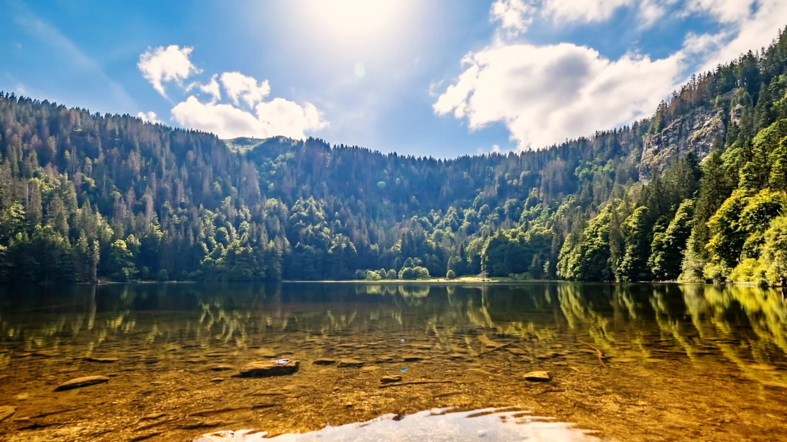 Der Feldsee, eingerahmt von steilen bewaldeten Hängen