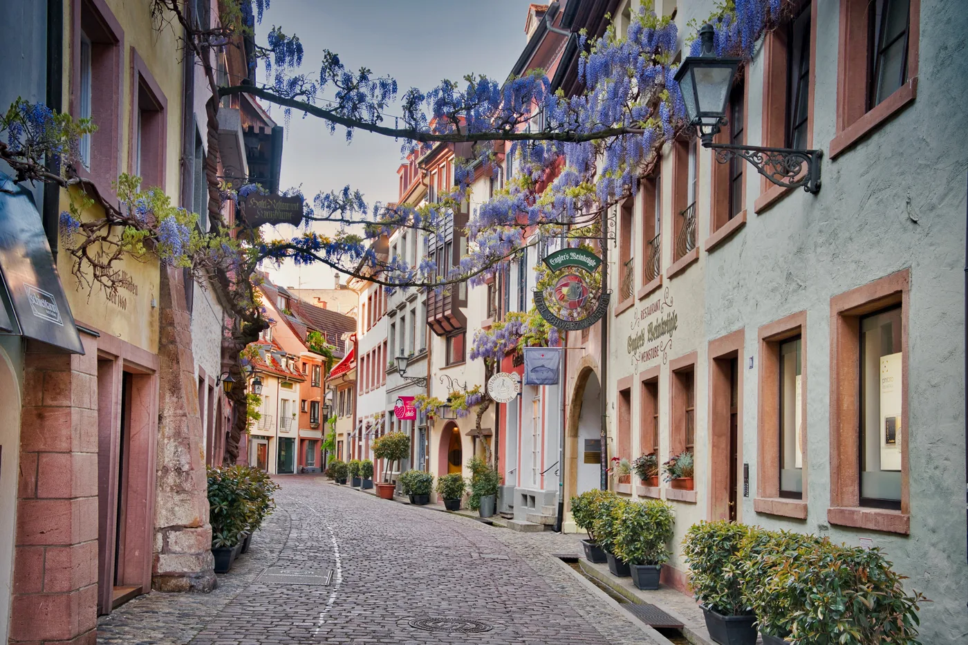 Die festlich beflaggte Konviktstraße in der Altstadt