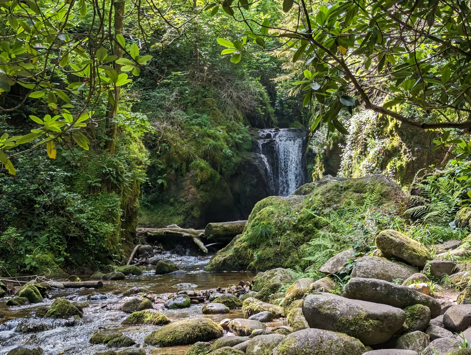 Geroldsauer Wasserfall im grünen Grobbachtal
