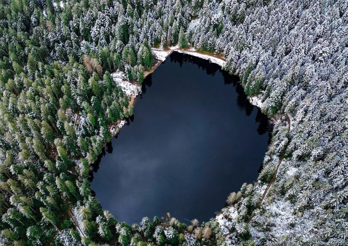 Luftaufnahme: der Glaswaldsee im Wald