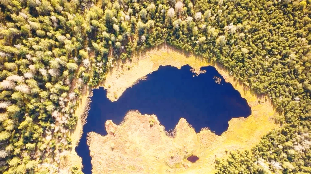 Luftaufnahme: der dunkle Hohlohsee im Hochmoor