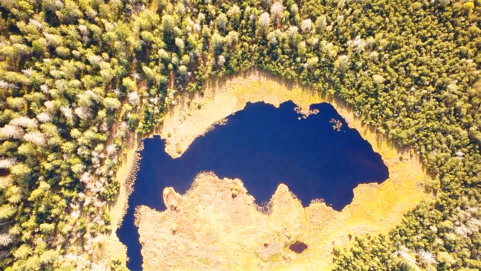 SCHWARZWALD MOORLANDSCHAFT: Der Hohlohsee – Eine verborgene Naturperle bei Kaltenbronn