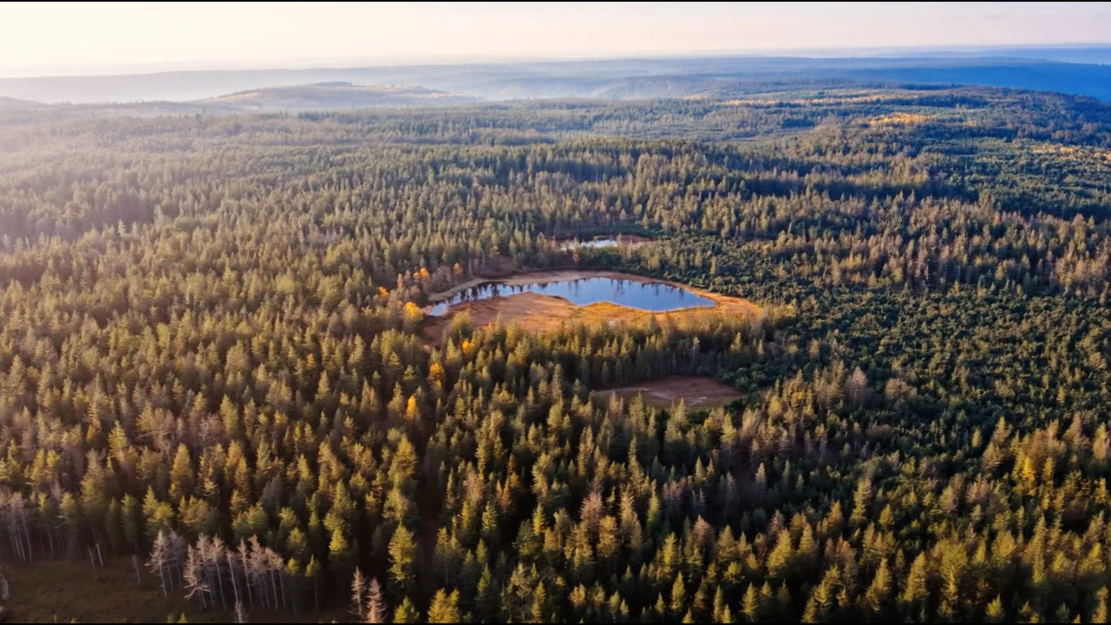 Der Hohlohsee inmitten des weiten Hochmoors