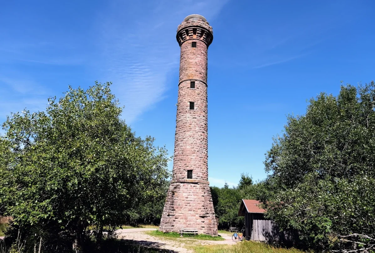 Der Hohlohturm ragt über die Bäume des Kaltenbronn