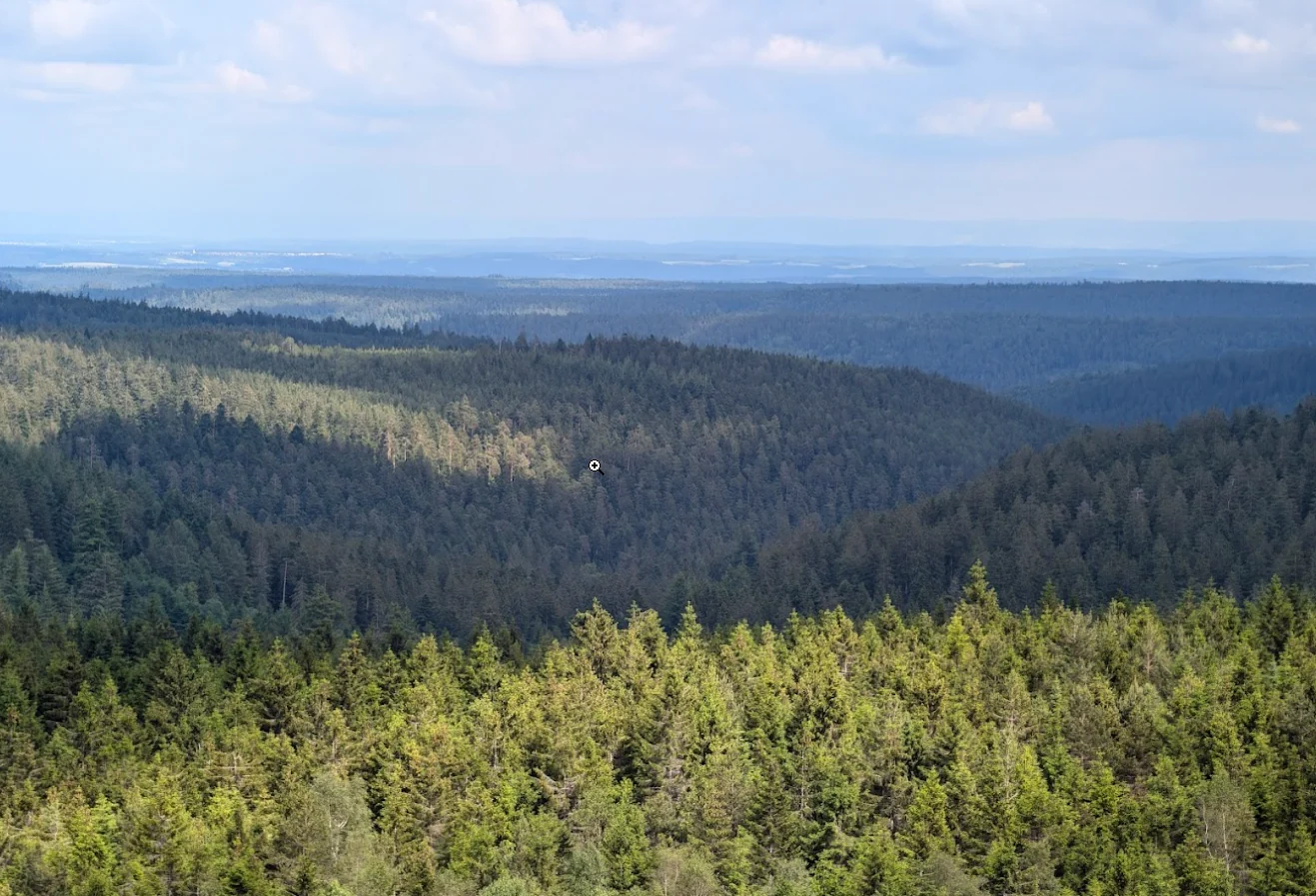 Der historische Sandsteinturm mit seinem Eingang