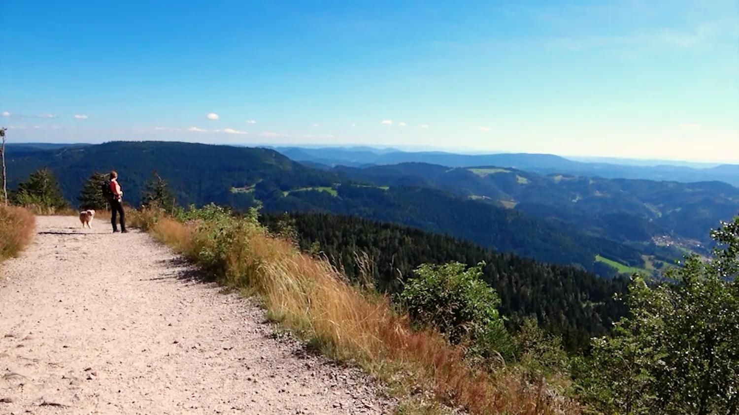 Über das Gipfelplateau der Hornisgrinde