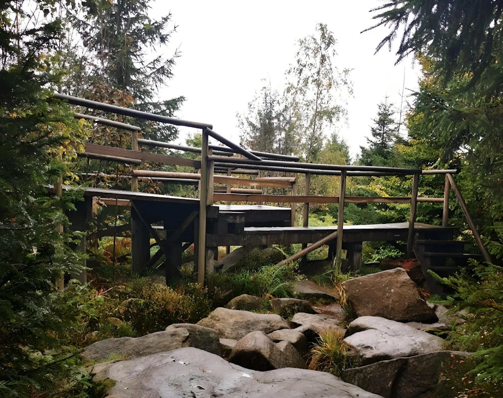 Der Bohlenweg schlängelt sich zwischen Felsen und Fichten