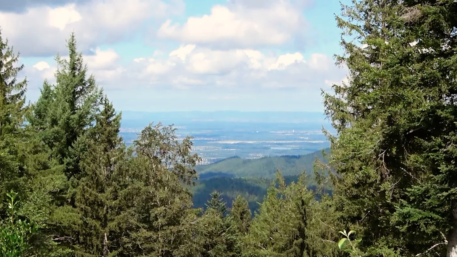 Weiter Blick über den Nordschwarzwald bis zur Rheinebene