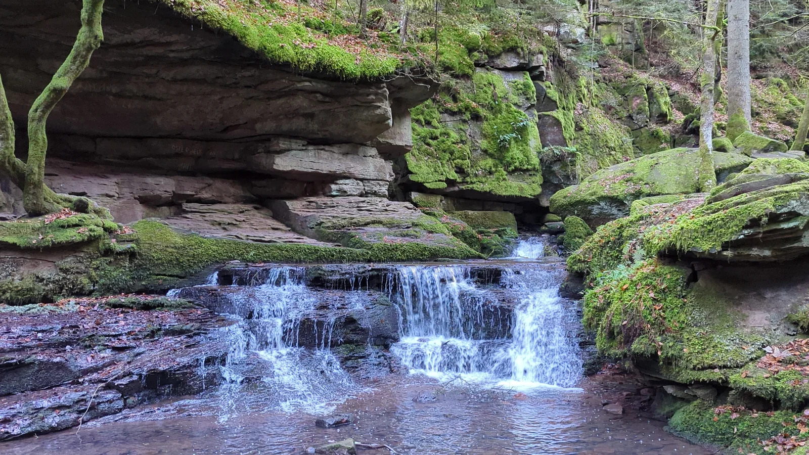 Kleine Kaskade über moosbewachsene Felsen im Monbachtal