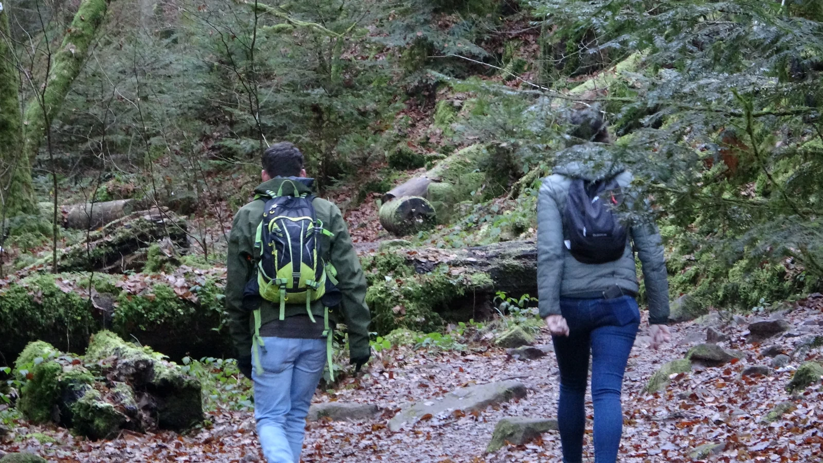 Wanderer auf dem Pfad durch die Monbachschlucht