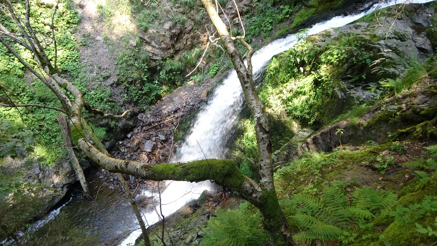 Kaskaden über moosige Felsen in der Schlucht