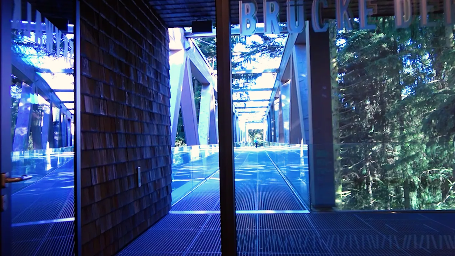 Der Skywalk am Ruhestein, illuminiert im Inneren