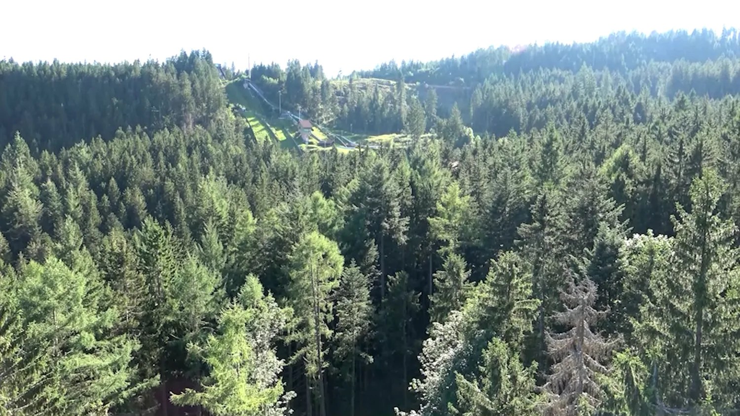 Weiter Blick über die Wälder des Nationalparks