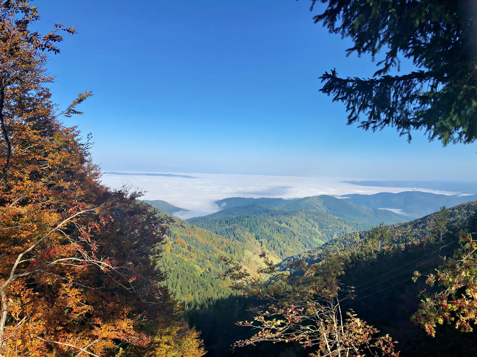 Herbstlicher Blick über ein Nebelmeer im Tal