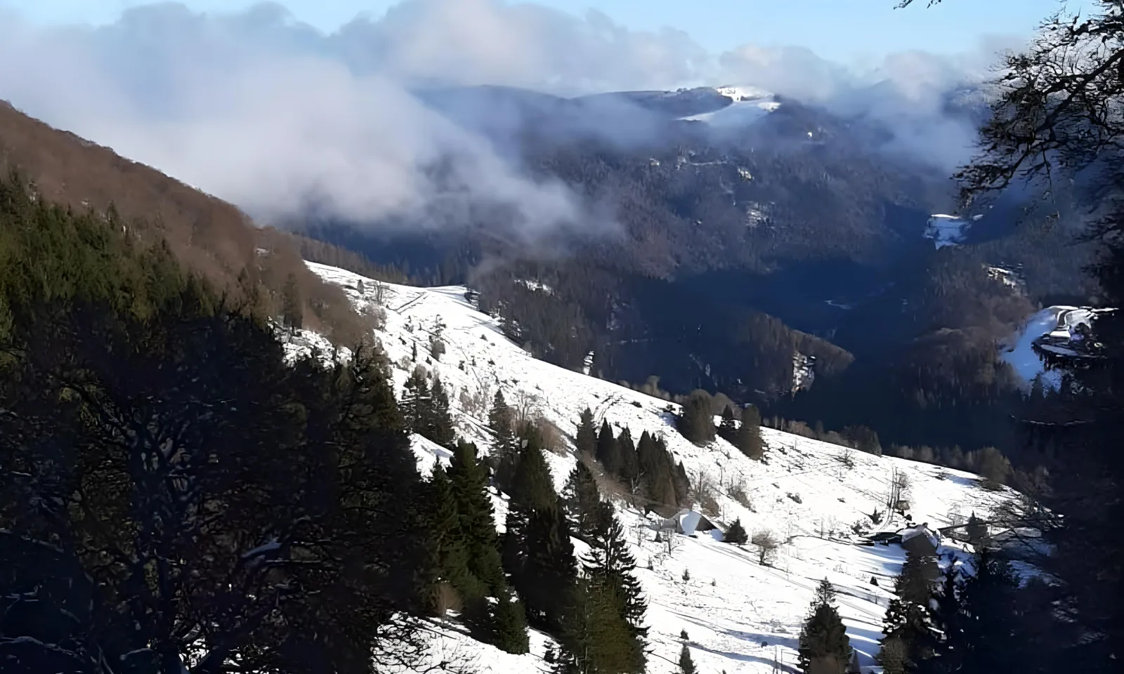Die Schauinsland-Bergbahn mit Blick in die Rheinebene