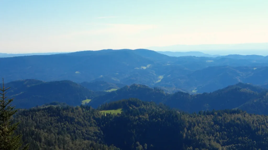 Weiter Blick über die Höhen des Nordschwarzwalds