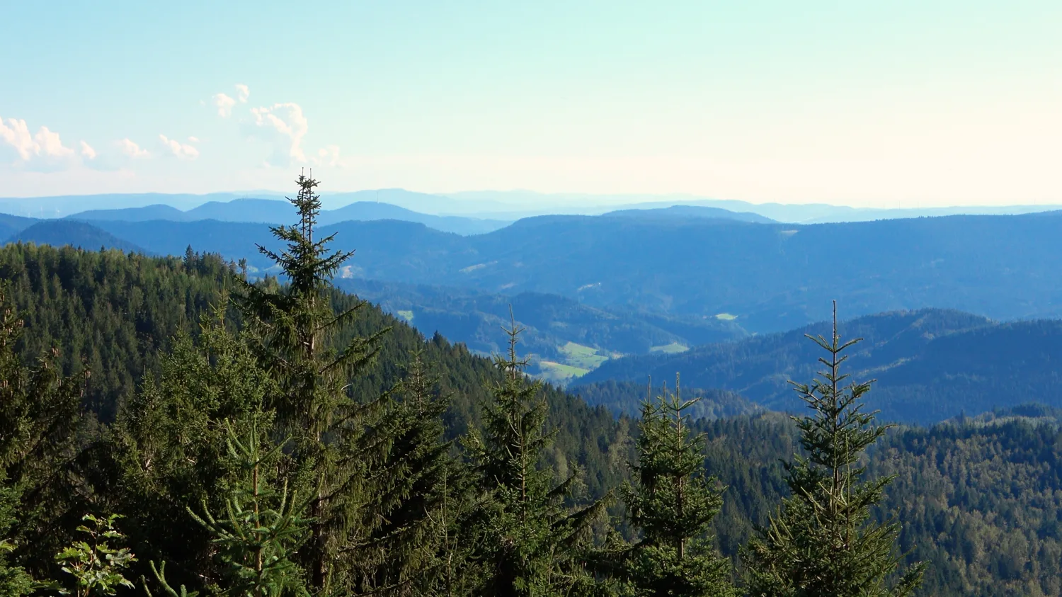 Aussicht über die Schwarzwaldhöhen