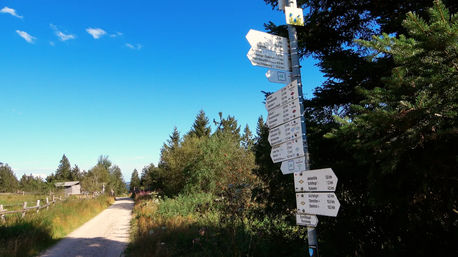 Wanderweg mit Wegweiser am Schliffkopf