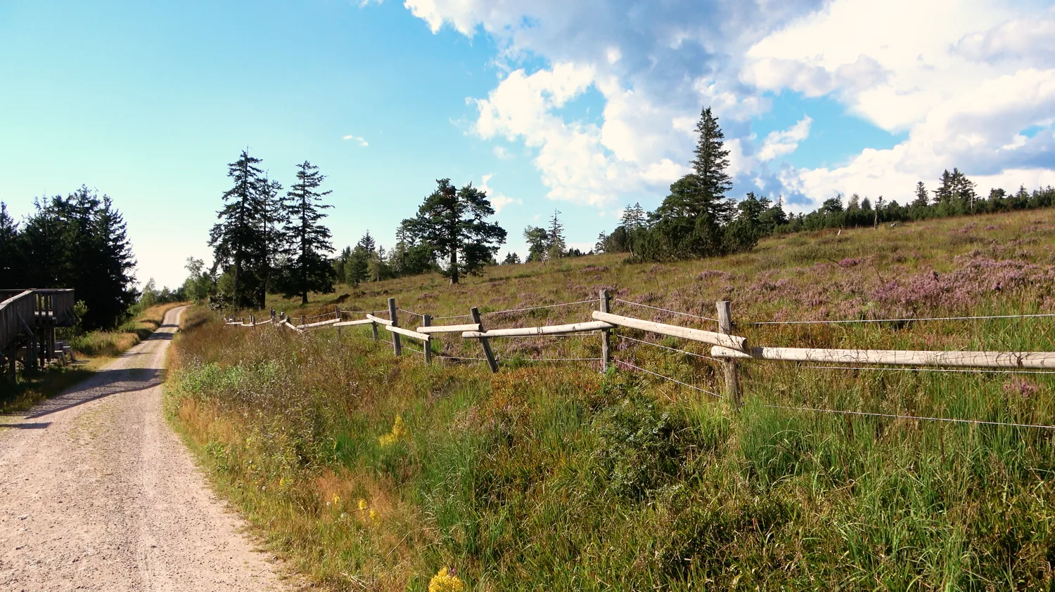 Offene Grinden-Landschaft am Schliffkopf