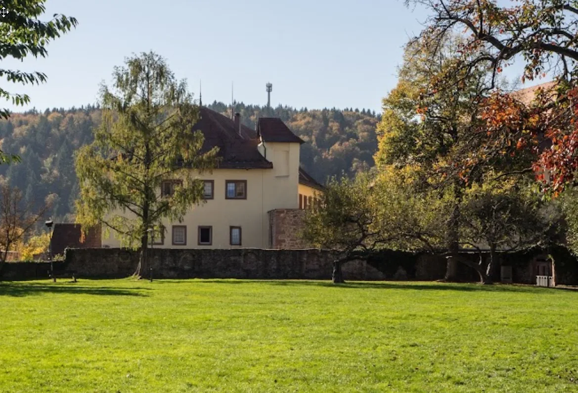 Blick über die Wiese zum Schloss Neuenbürg