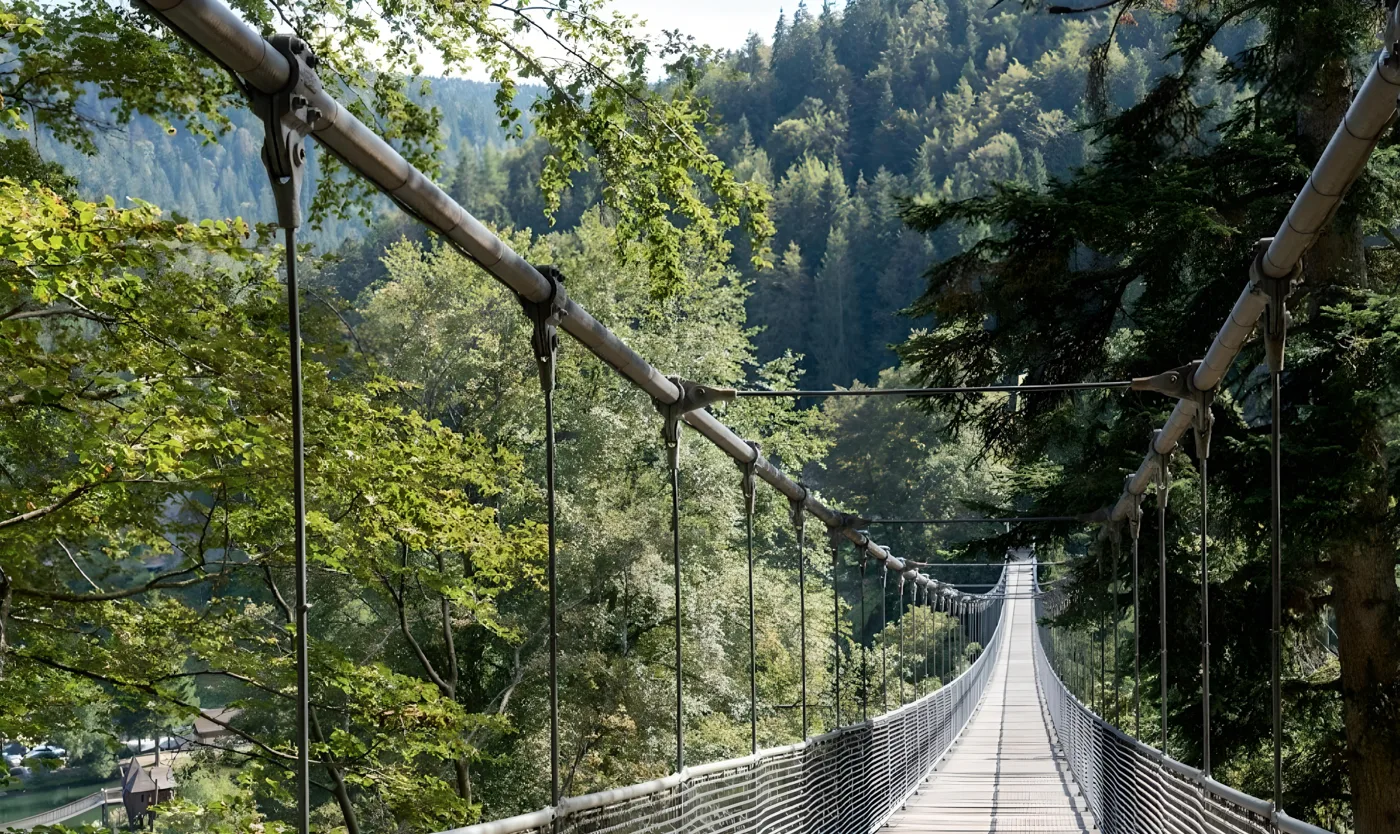 Die Hängebrücke im Steinwasen-Park