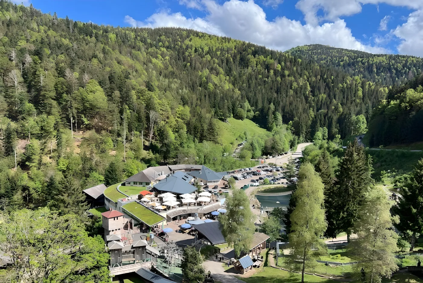 Blick über den Steinwasen-Park im bewaldeten Tal