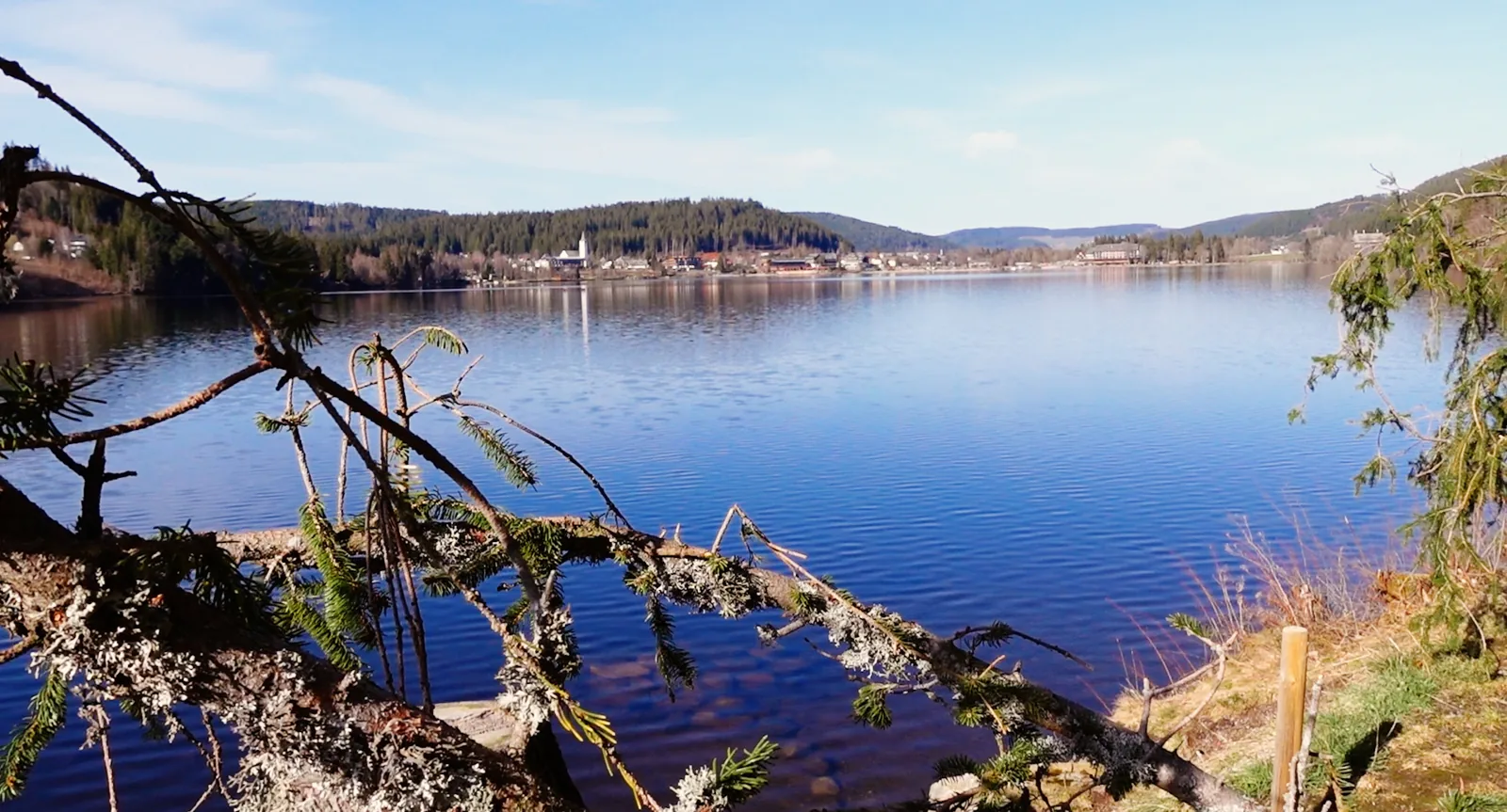 Der tiefblaue Titisee vom gegenüberliegenden Ufer aus gesehen