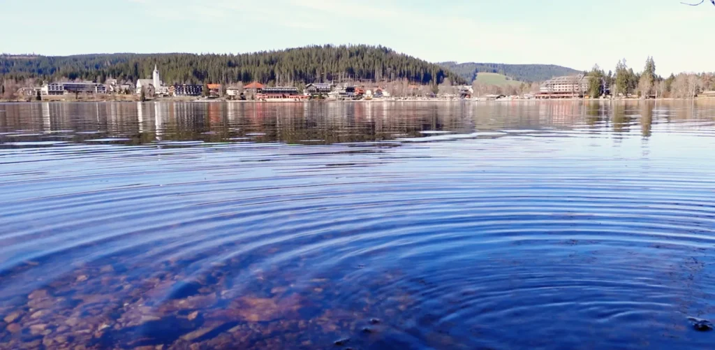 Panoramablick über den Titisee auf die Uferpromenade von Titisee-Neustadt im Schwarzwald