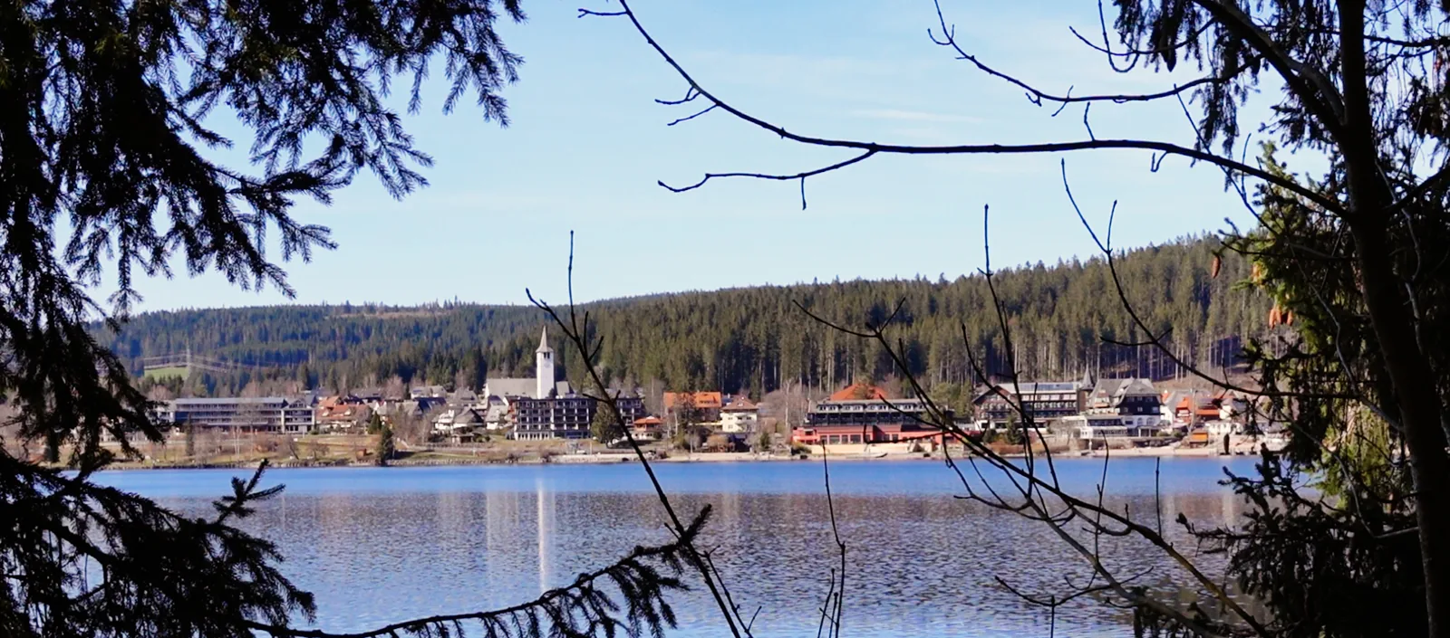 Titisee mit Kirche und Ortsansicht, eingerahmt von Schwarzwald-Tannen