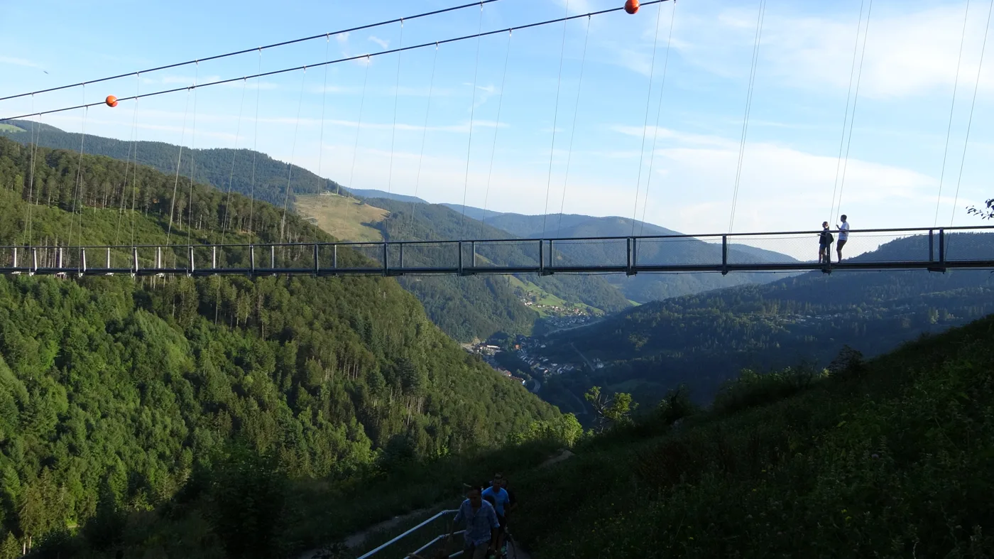 Die Hängebrücke spannt sich über das Tal bei Todtnau