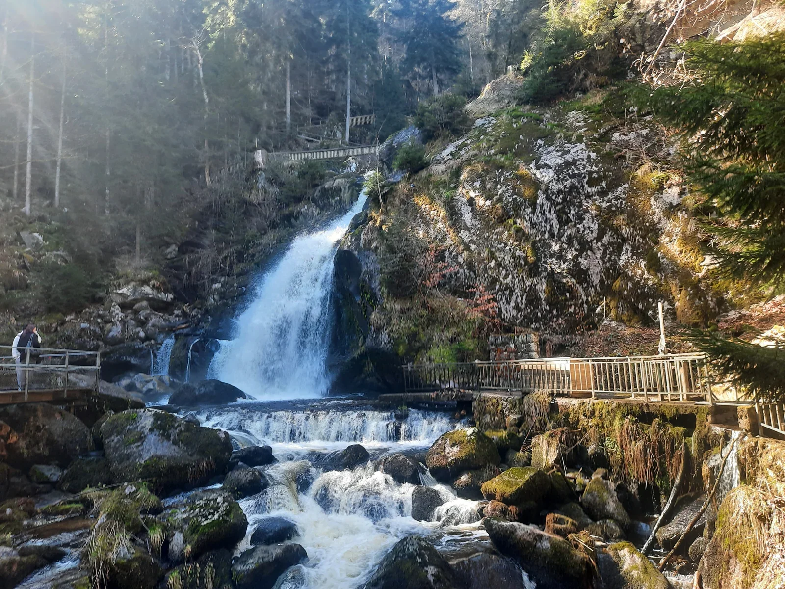 Die Triberger Wasserfälle stürzen über sieben Granitkaskaden in die Tiefe.