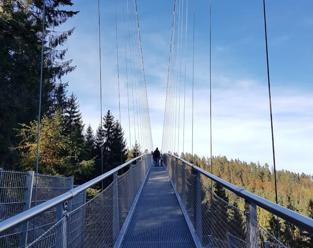 Auf der 380 Meter langen WILDLINE-Hängebrücke