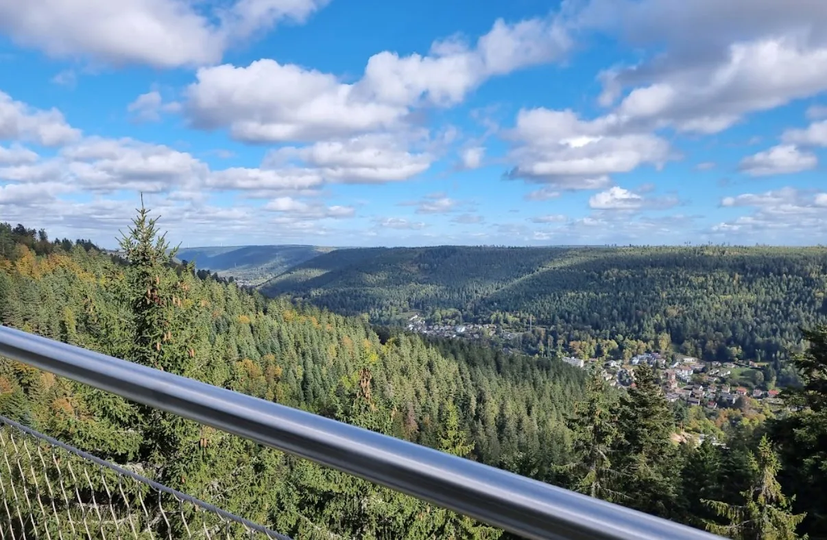 Panorama über das bewaldete Tal von der Brücke