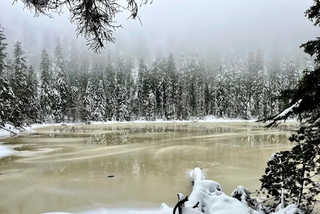 Winterstimmung am verschneiten Wildsee