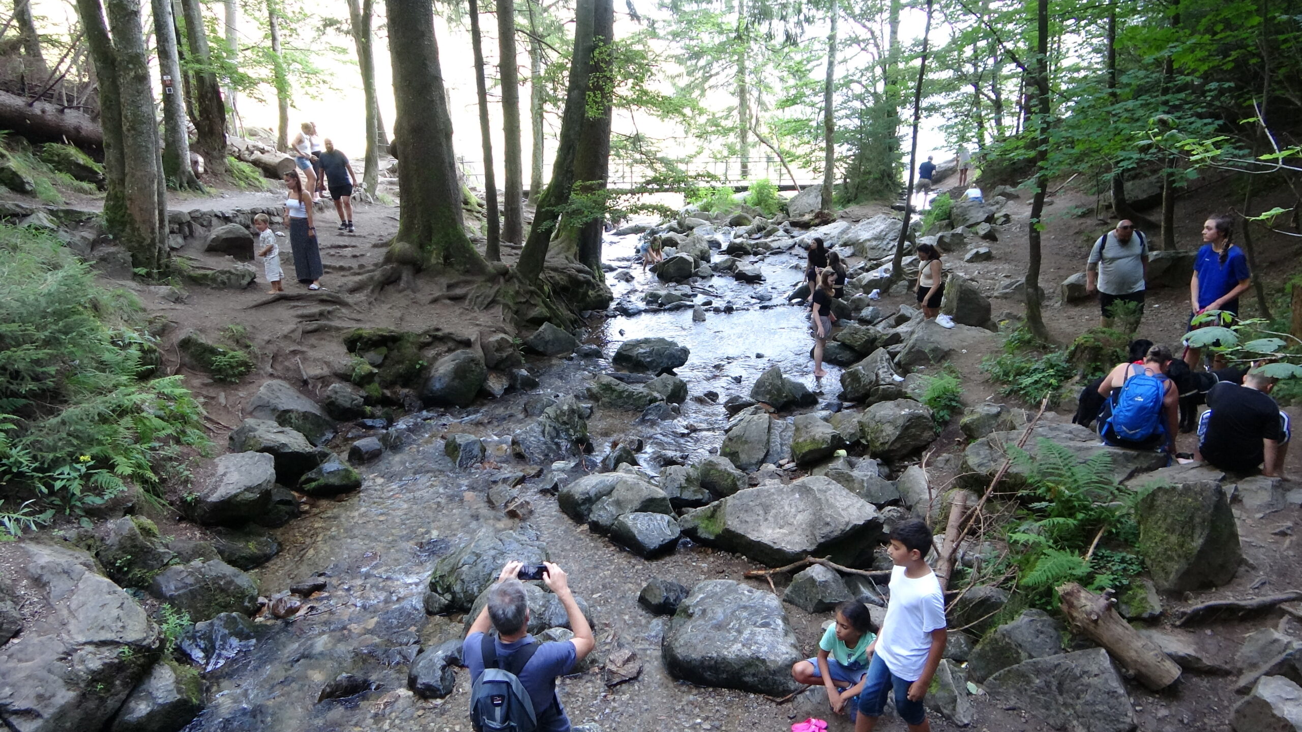 Obere Fallstufe des Todtnauer Wasserfalls mit tosendem Wasser