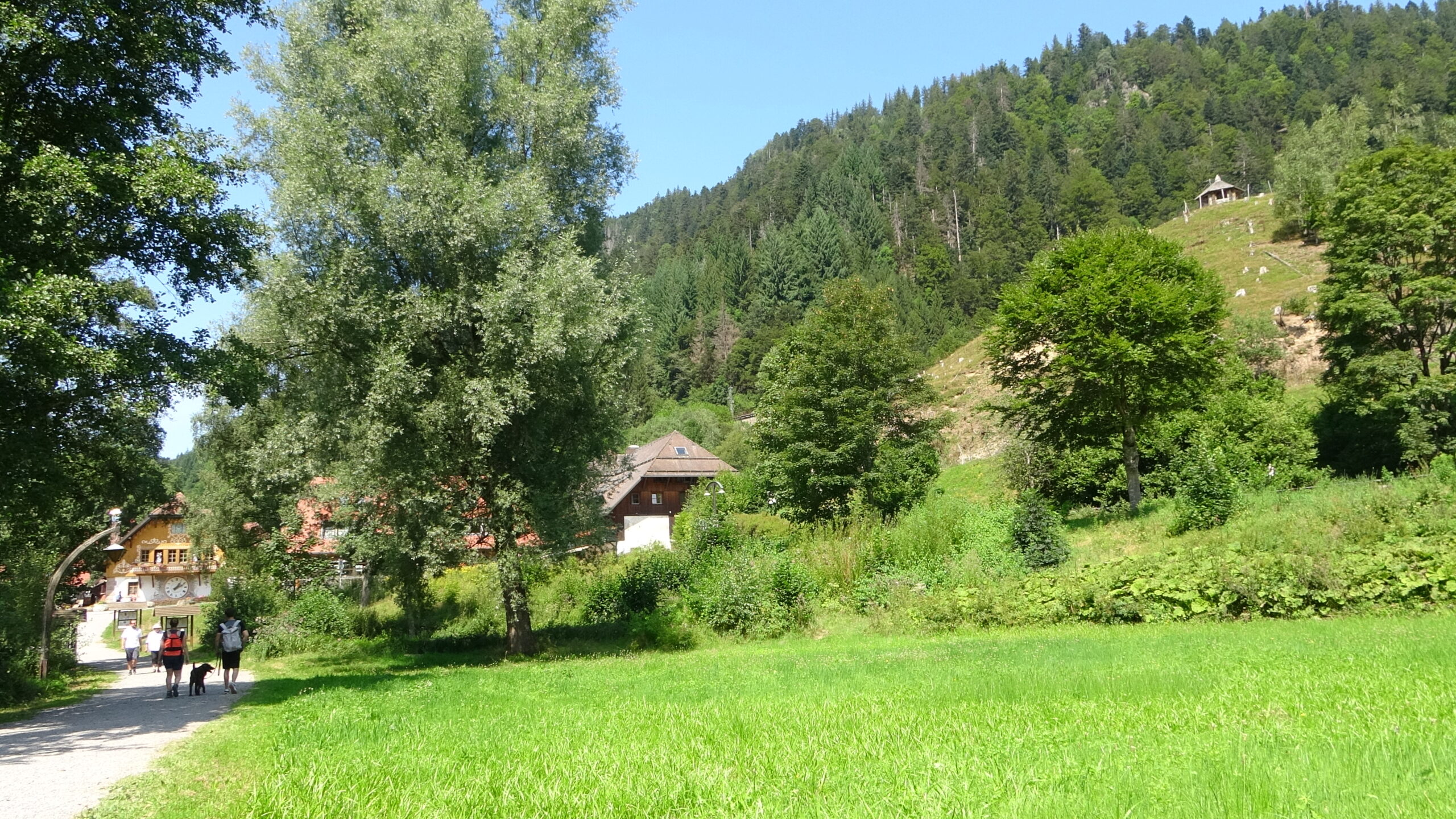 Blick auf das Hofgut Sternen