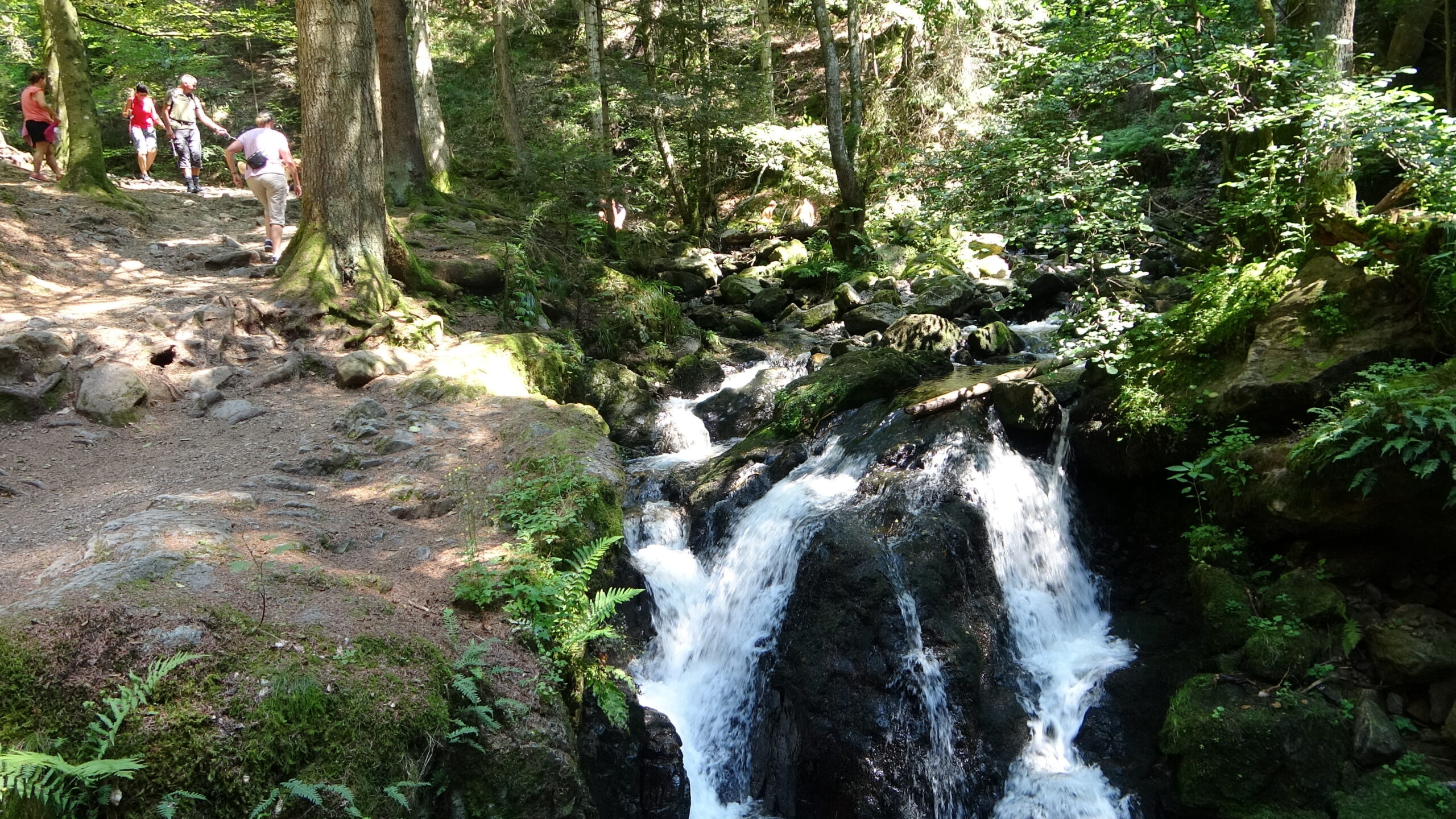 Wanderin in der Ravennaschlucht