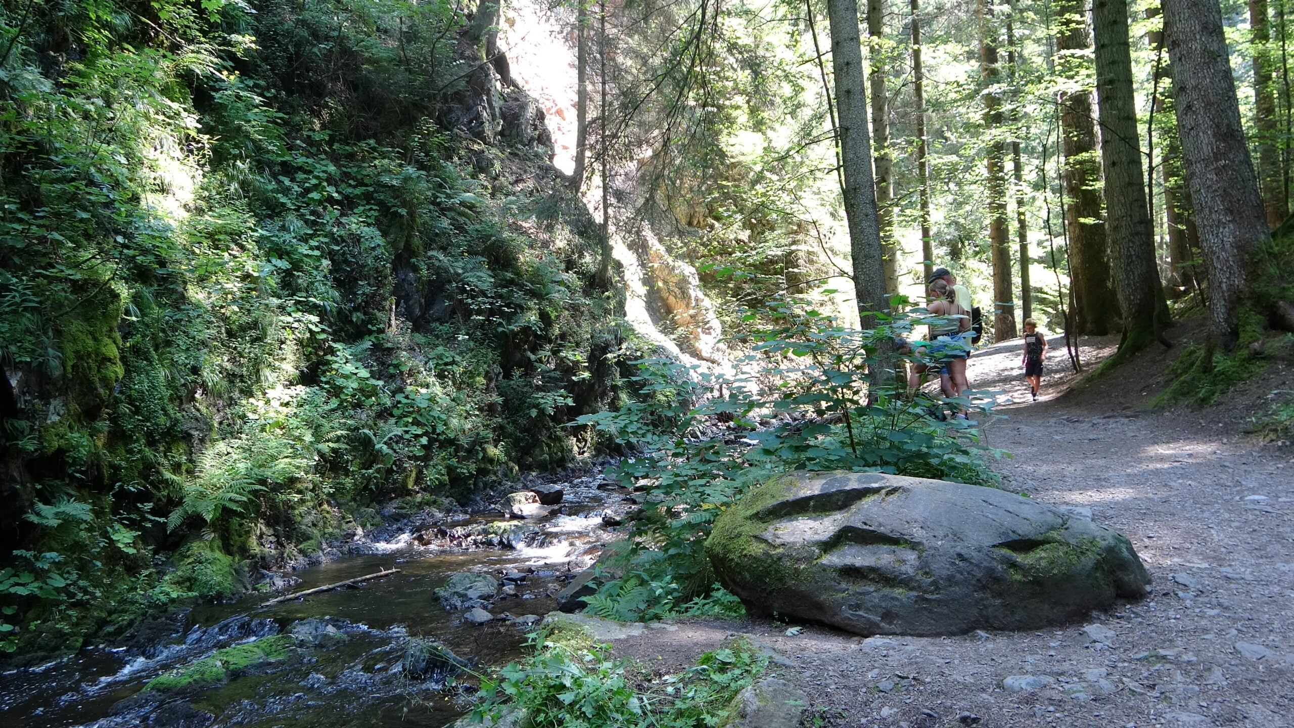 Wanderweg an der Ravenna entlang