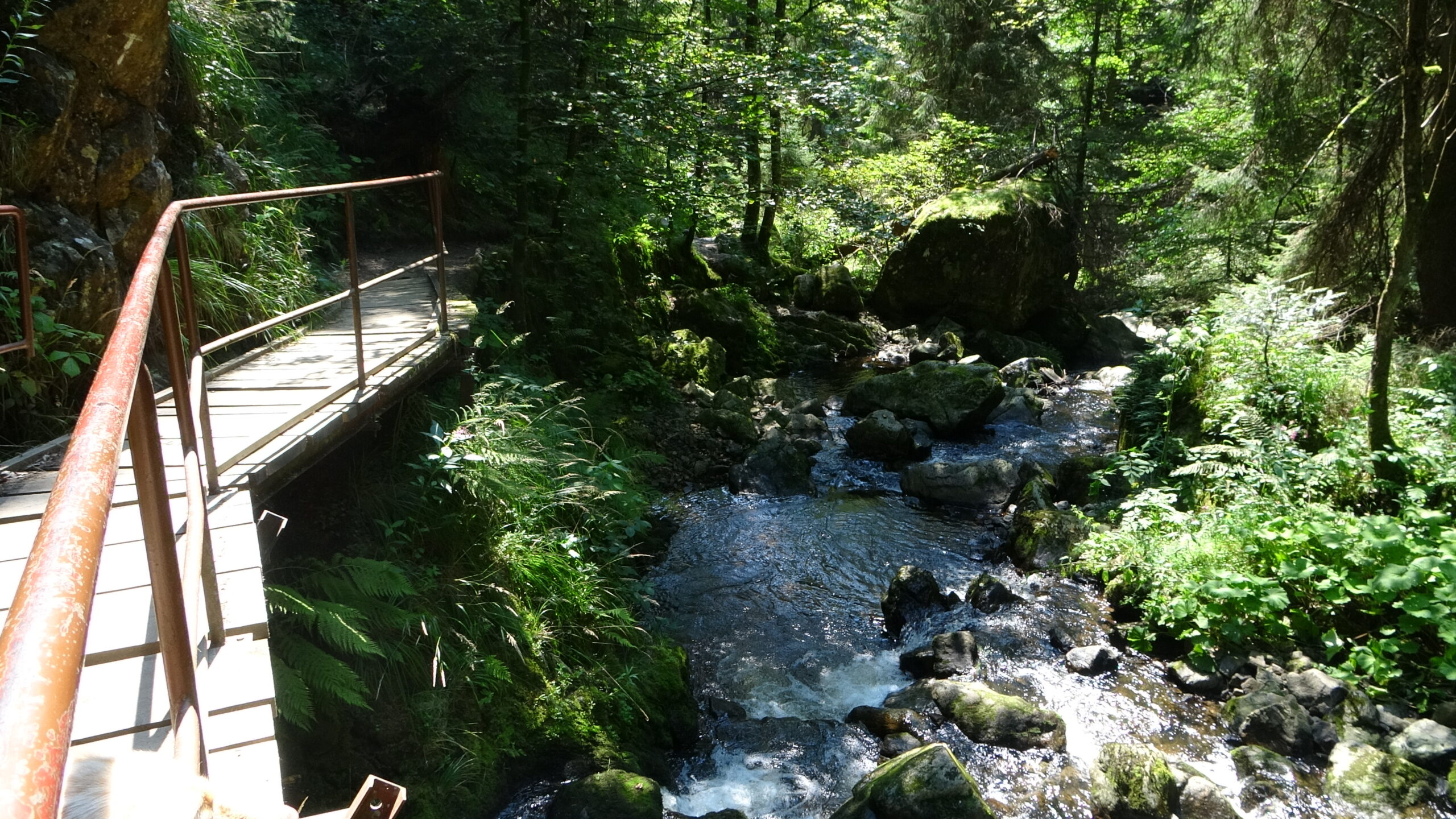 Pfad entlang der Ravenna durch die Schlucht
